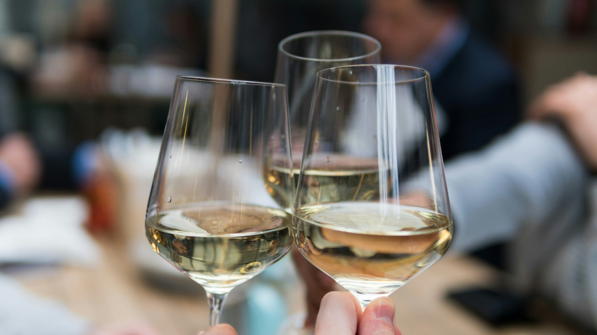 Une dégustation de vin blanc se fait entre amis
